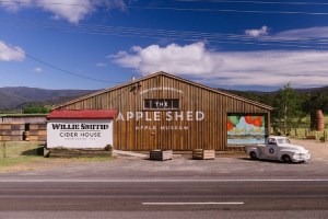 The_Apple_Shed