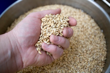 Cryer Malt