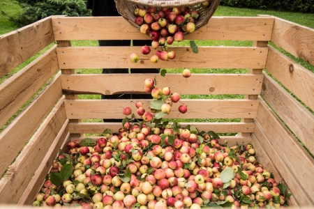 Australian Cider Awards 2019